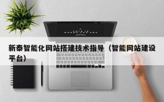 泰兴新泰智能化网站搭建技术指导（智能网站建设平台）